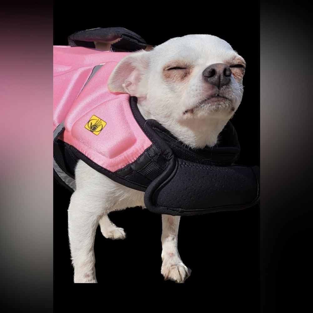 Dog life vest Bodyglove Malibu barbie 80’s USA vintage pink velcro boat beach